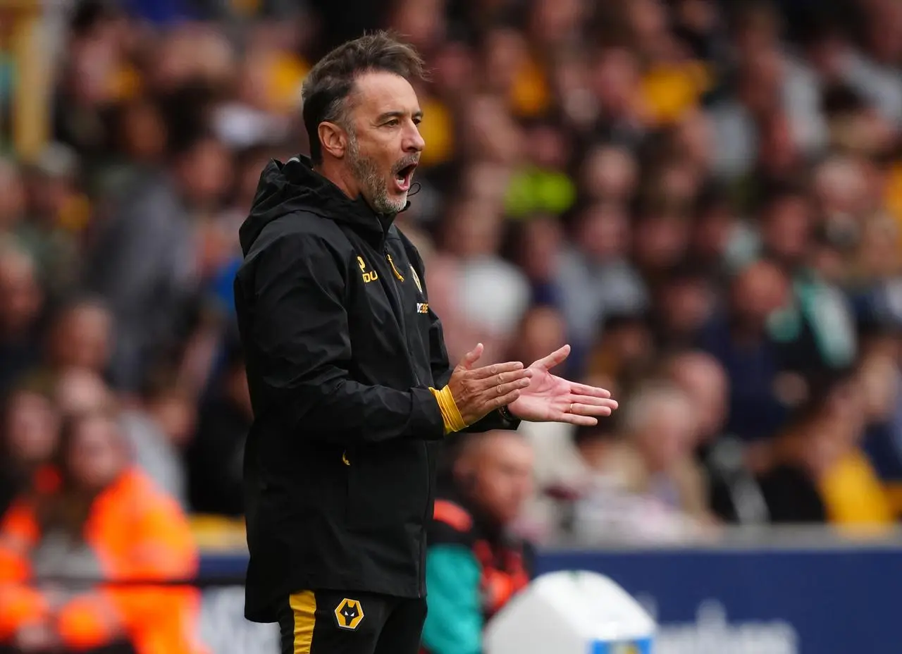 Vitor Pereira shouts instructions to his Wolves players