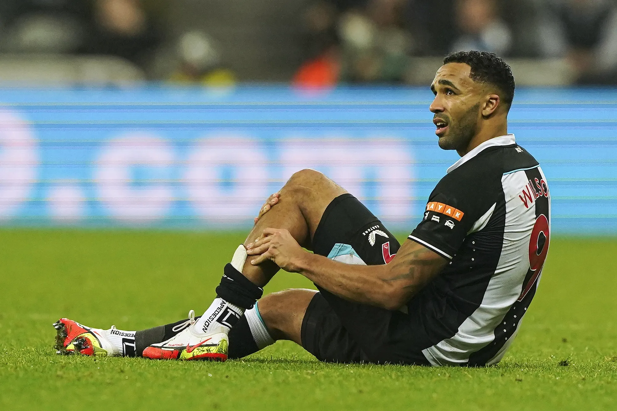 Newcastle striker Callum Wilson is out injured for up to eight weeks