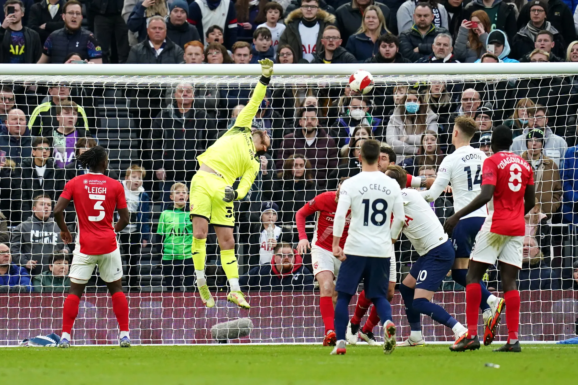 Harry Winks scores a delightful free-kick to get Tottenham back on track