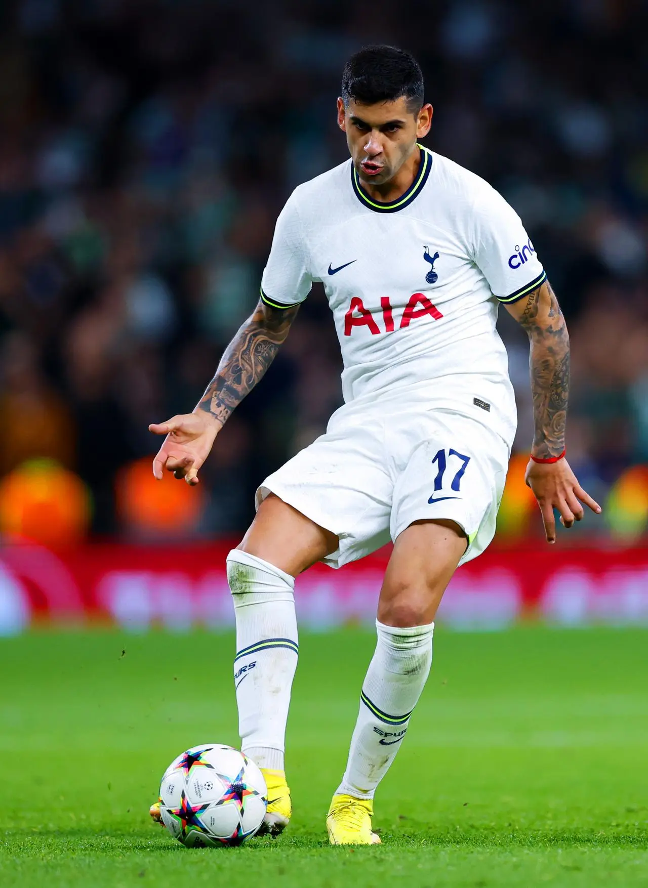 Tottenham Hotspur v Sporting Lisbon – UEFA Champions League – Group D – Tottenham Hotspur Stadium