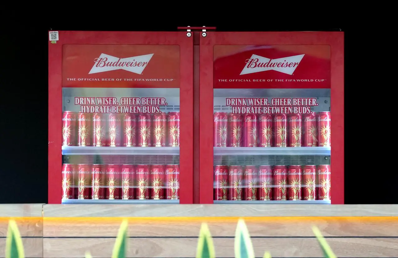 Cans of Budweiser beer are displayed at the World Cup main media centre in Doha