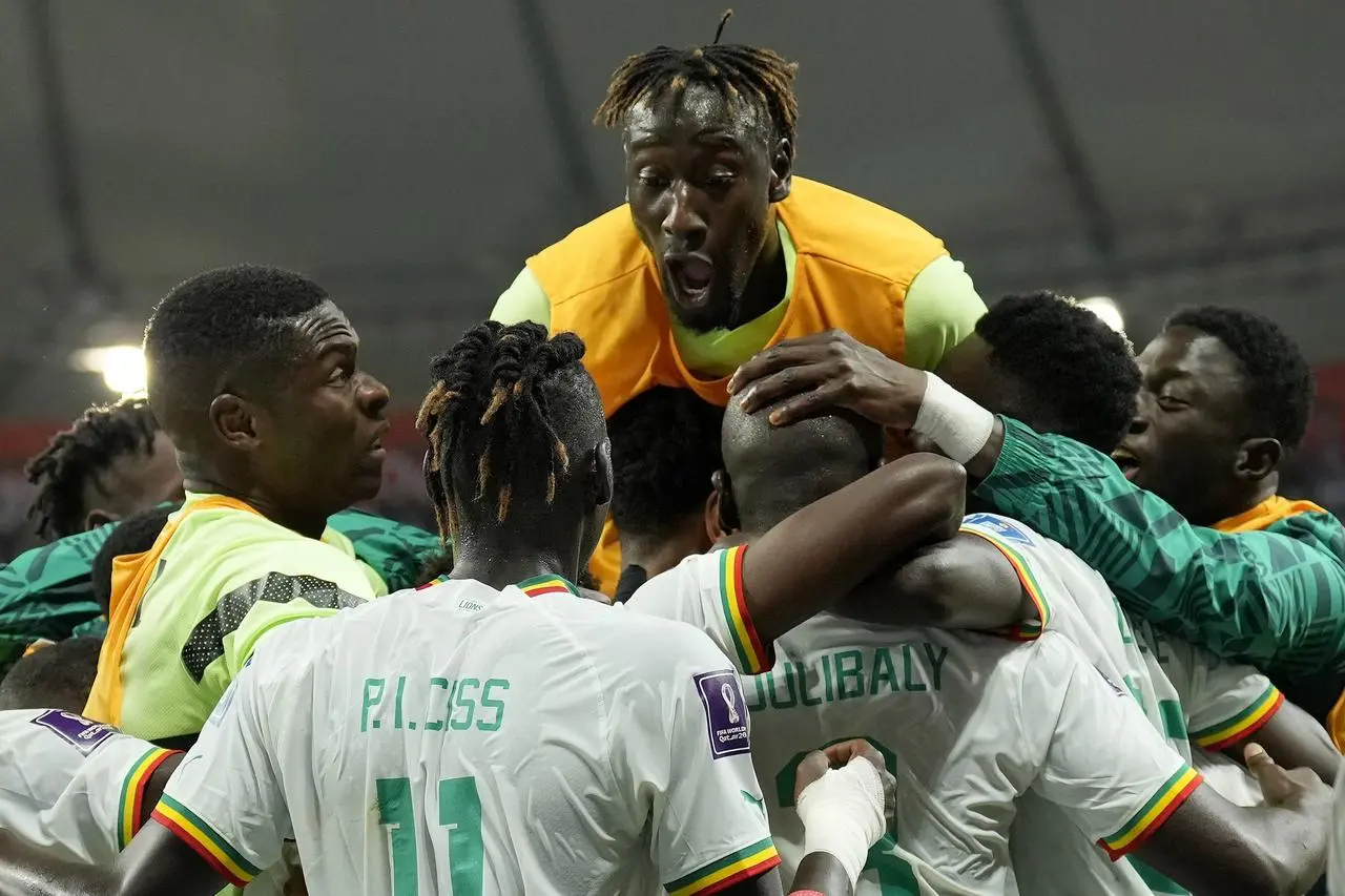 Senegal players celebrate against Ecuador