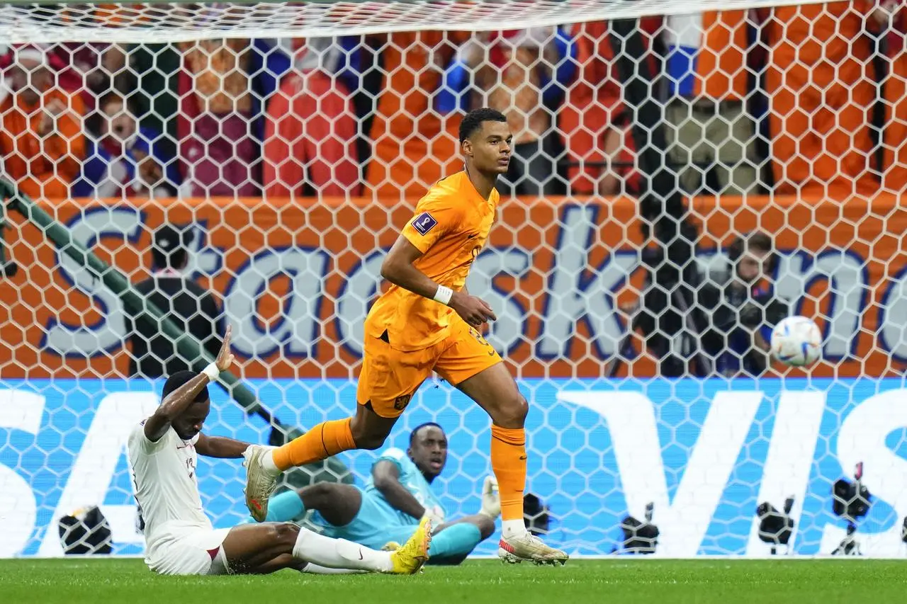 Cody Gakpo celebrates his opening goal against Qatar