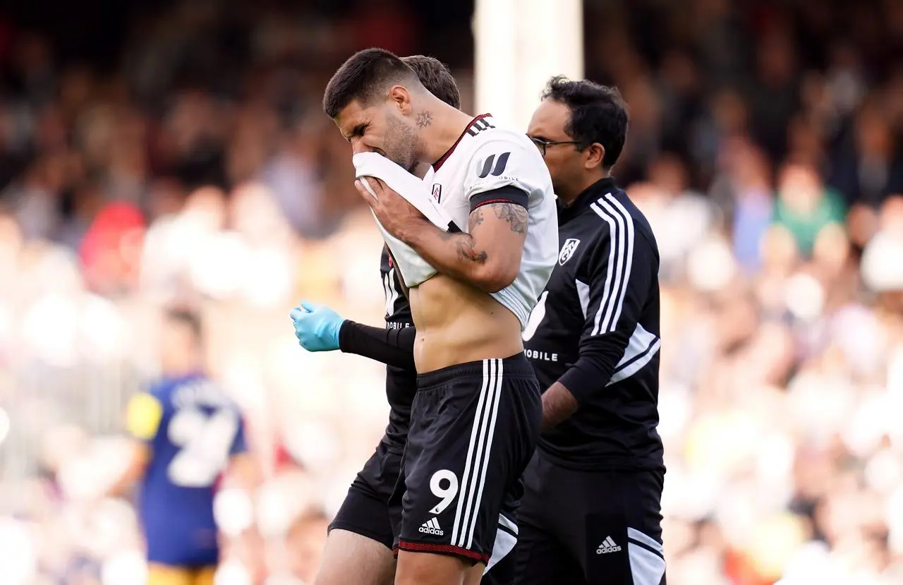 Fulham forward Aleksandar Mitrovic walks off the pitch