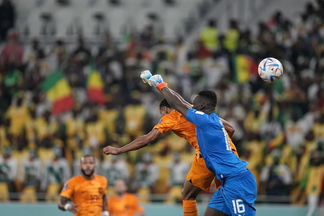 Cody Gakpo scores against Senegal’s Edouard Mendy 