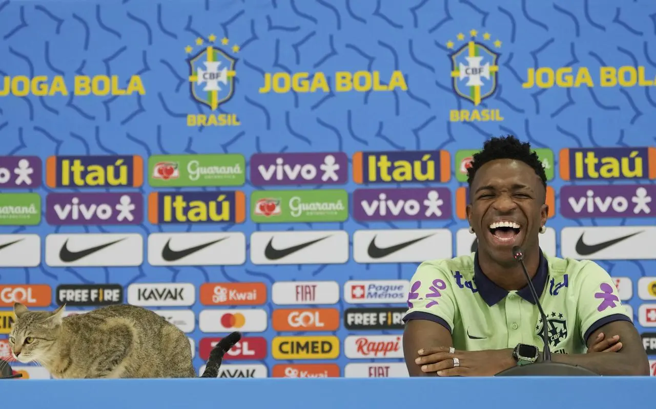 Brazil’s Vinicius Jr was joined by a feline friend during his press conference on Wednesday 