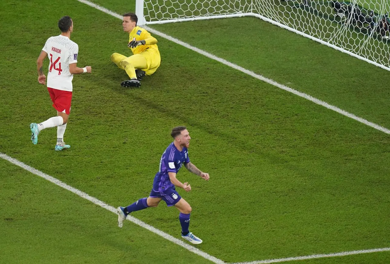 Alexis Mac Allister scored against Poland in Qatar