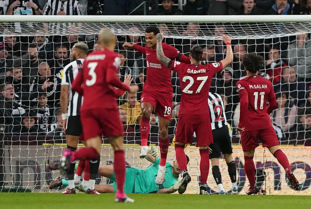 Cody Gakpo (centre) celebrates