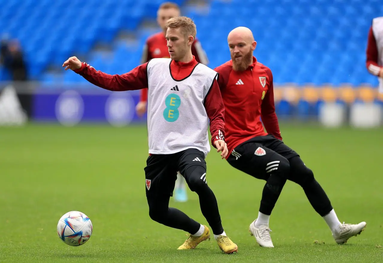 Wales Training – Cardiff City Stadium – Tuesday November 15th