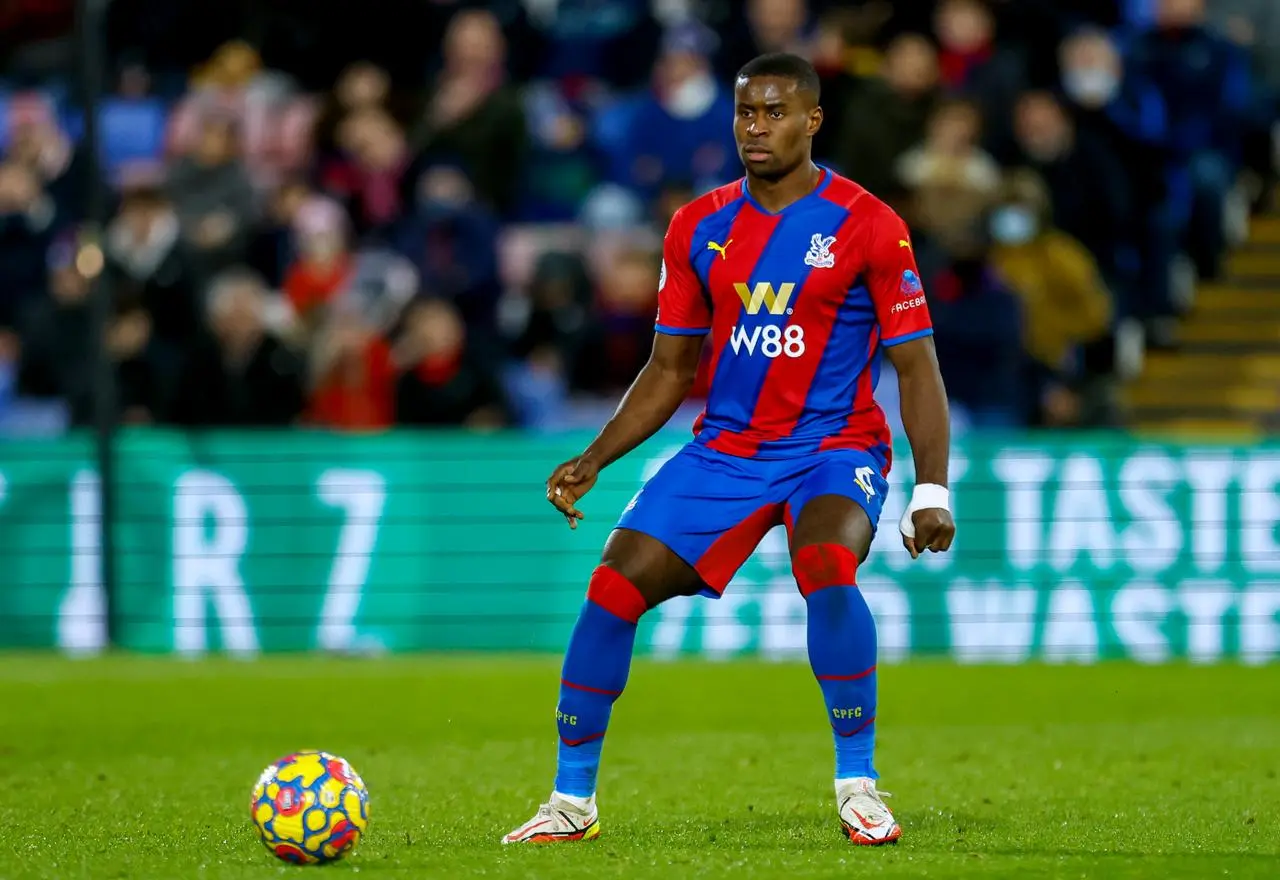 Crystal Palace v Norwich City – Premier League – Selhurst Park