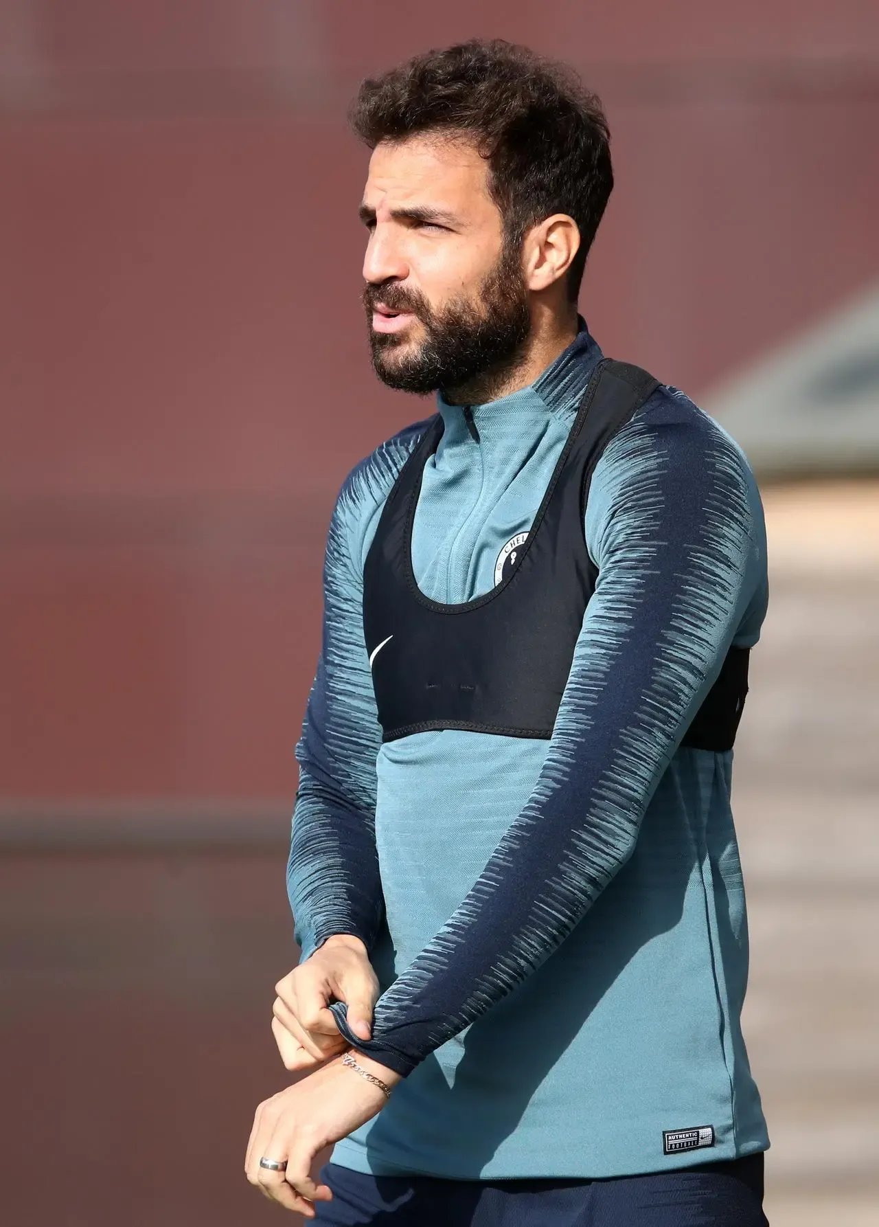 Cesc Fabregas