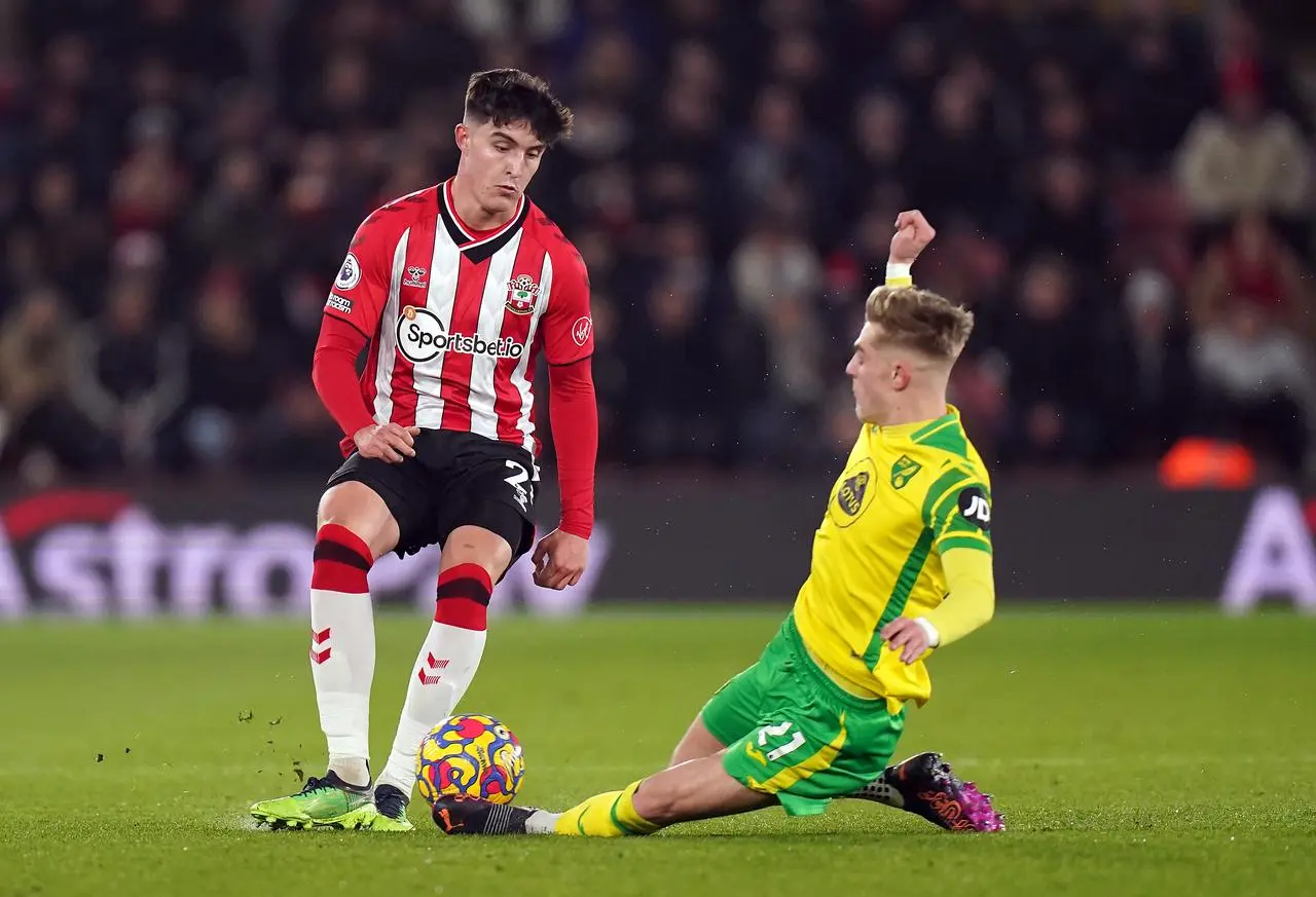 Southampton v Norwich City – Premier League – St Mary’s Stadium