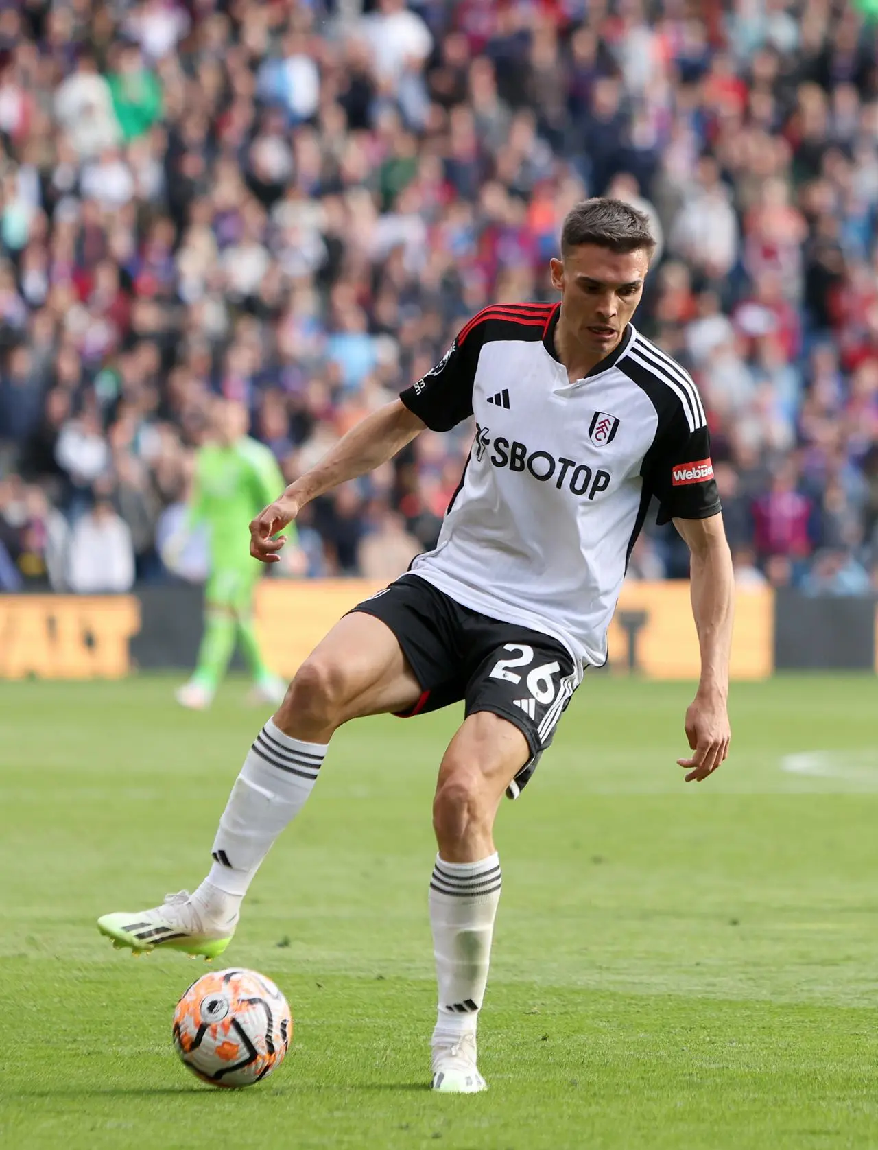 Crystal Palace v Fulham – Premier League – Selhurst Park