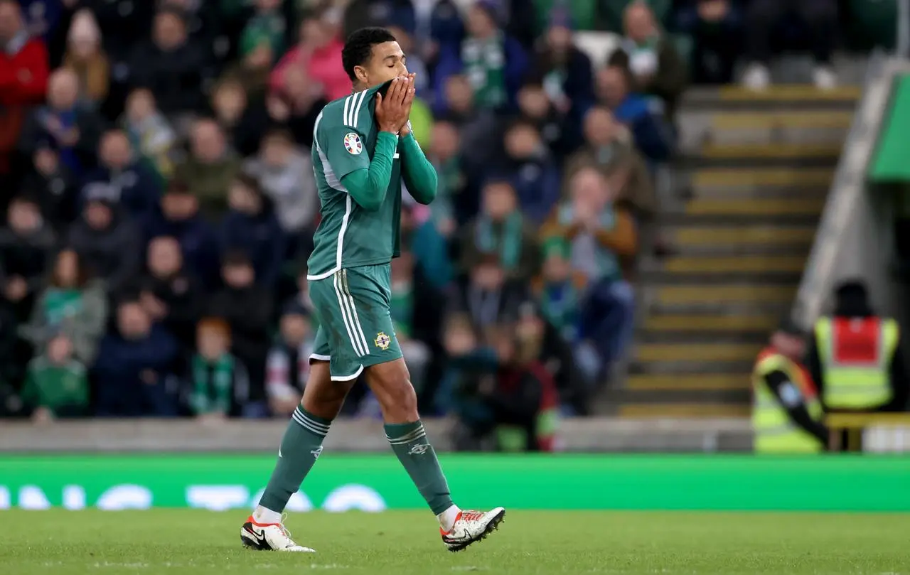 Northern Ireland v Slovenia – UEFA Euro 2024 Qualifying – Group H – Windsor Park