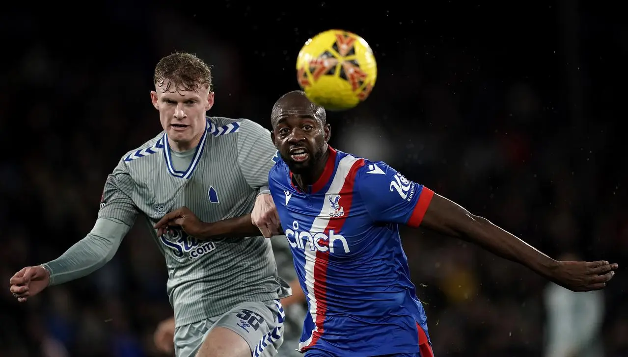 Crystal Palace v Everton – Emirates FA Cup – Third Round – Selhurst Park