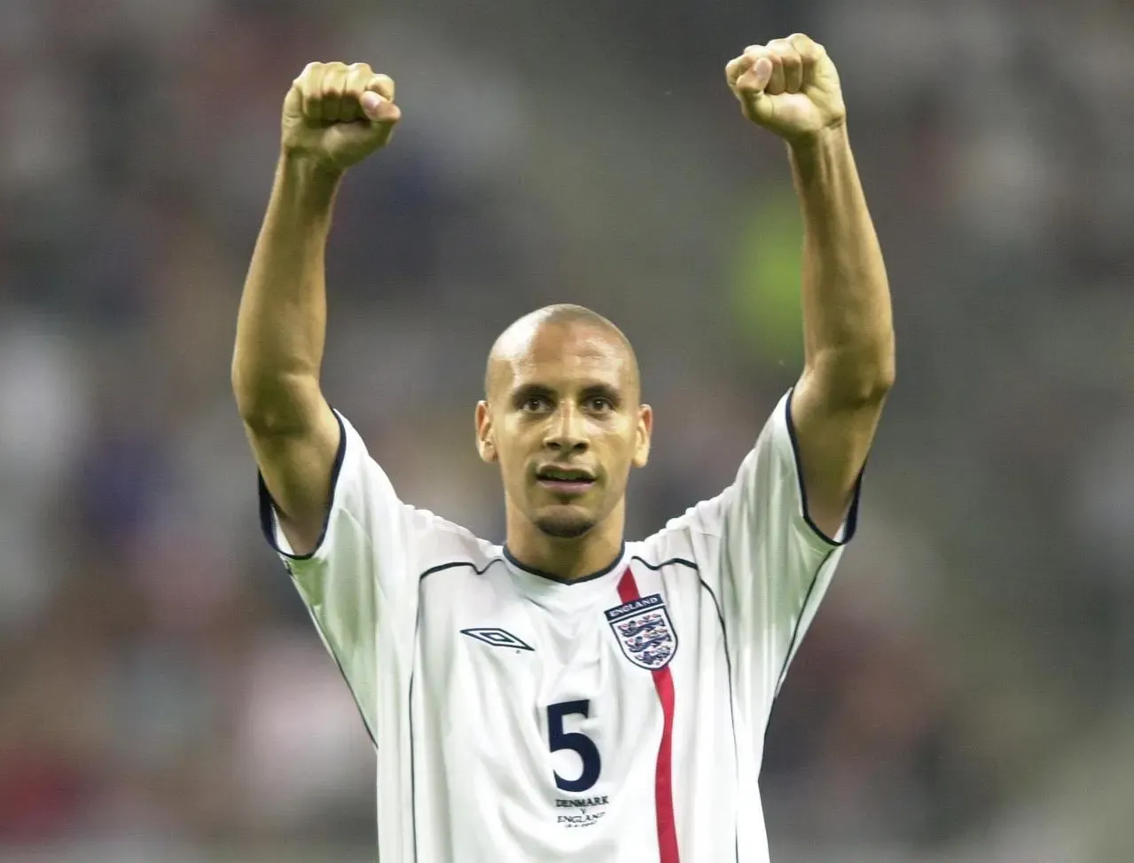 Rio Ferdinand celebrates after England beat Denmark