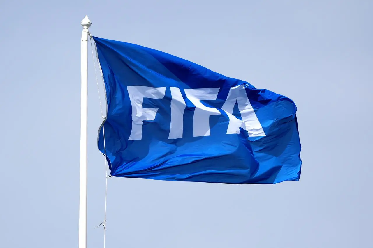 Photo of a flag with the FIFA logo