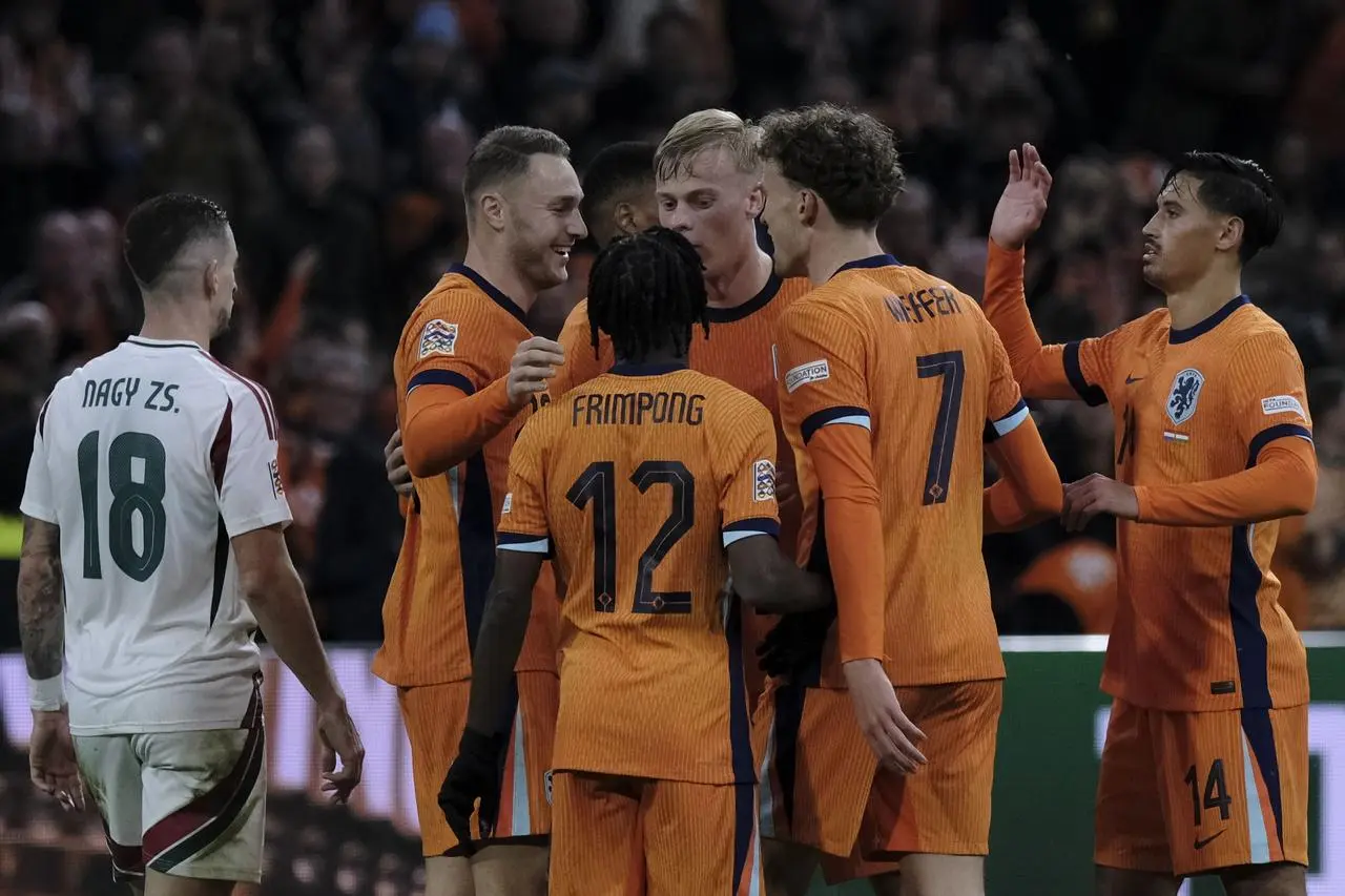 Netherlands players celebrate a goal