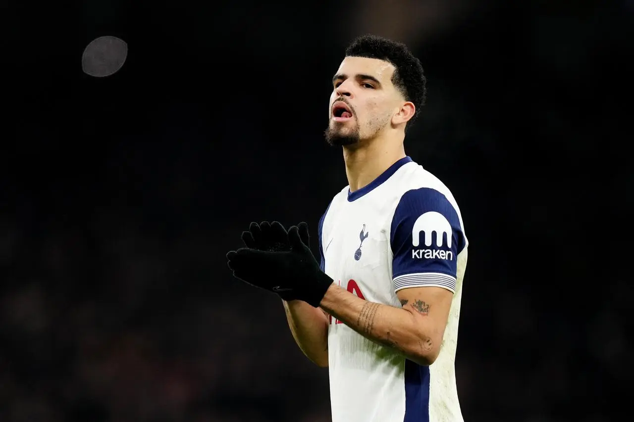 Dominic Solanke during Tottenham's game against Wolves