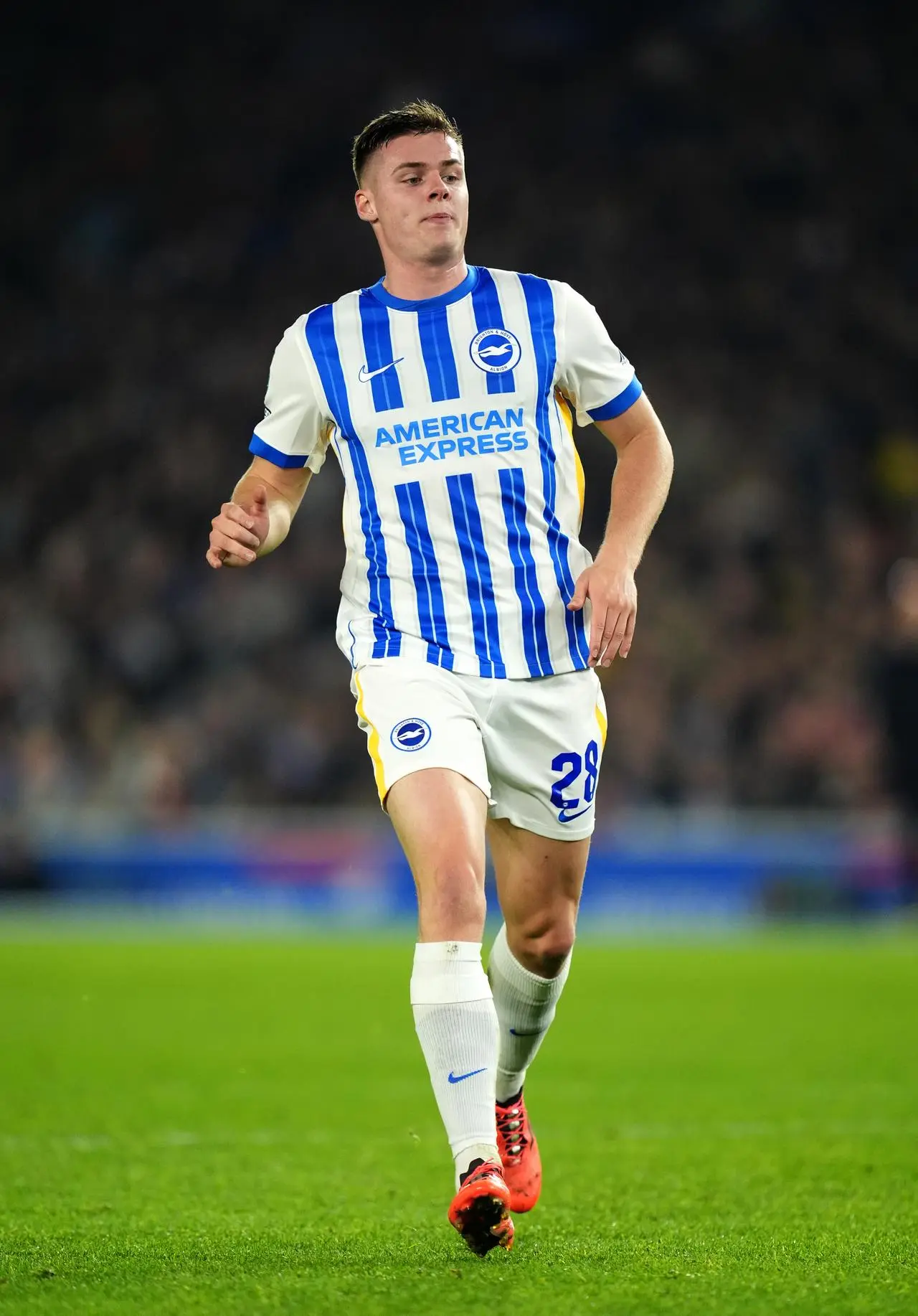 Evan Ferguson in action for Brighton