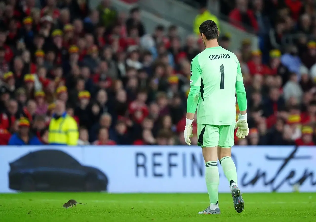 Wales v Belgium – 2026 FIFA World Cup European Qualifiers – Group J – Cardiff City Stadium