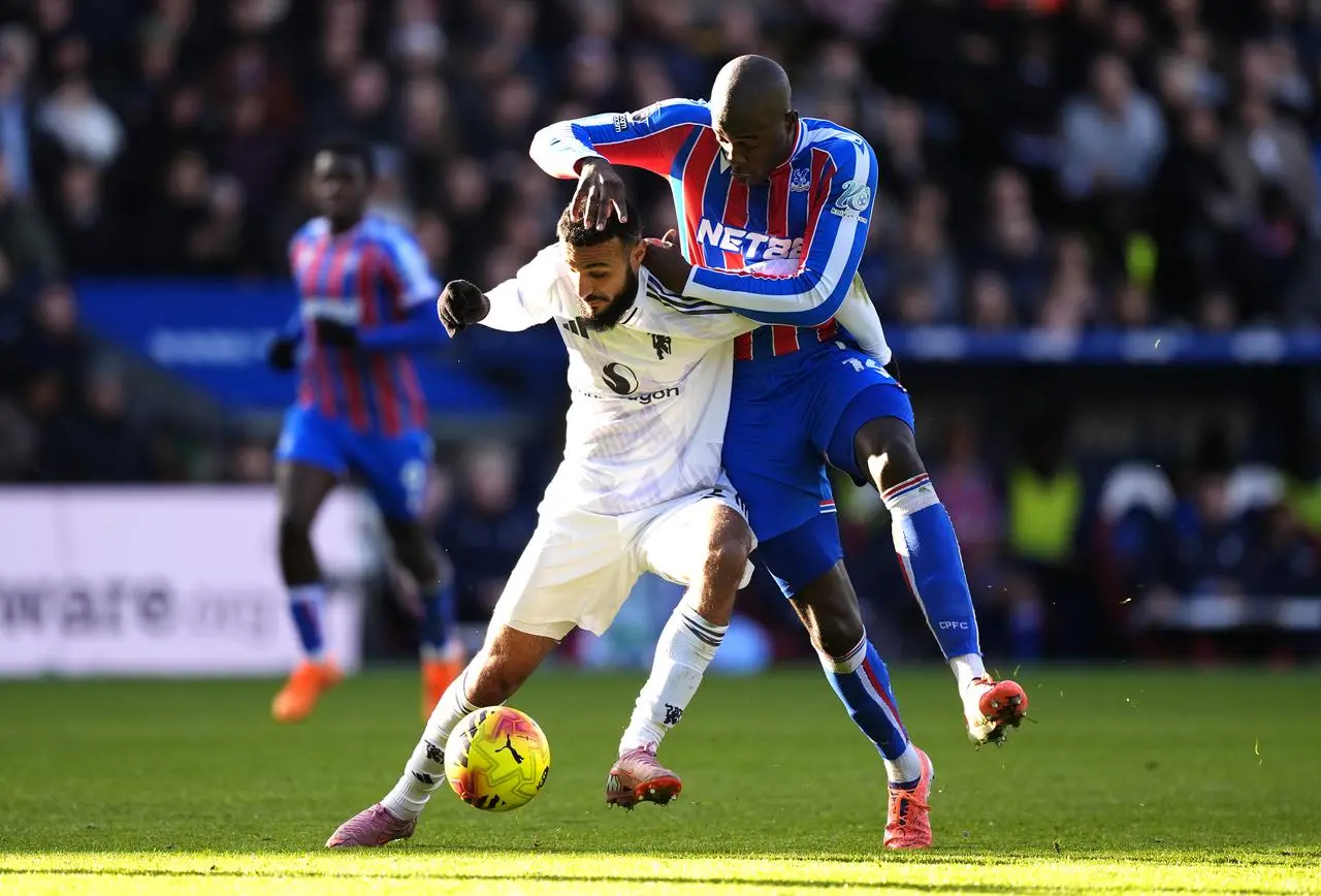 Crystal Palace v Manchester United – Premier League – Selhurst Park
