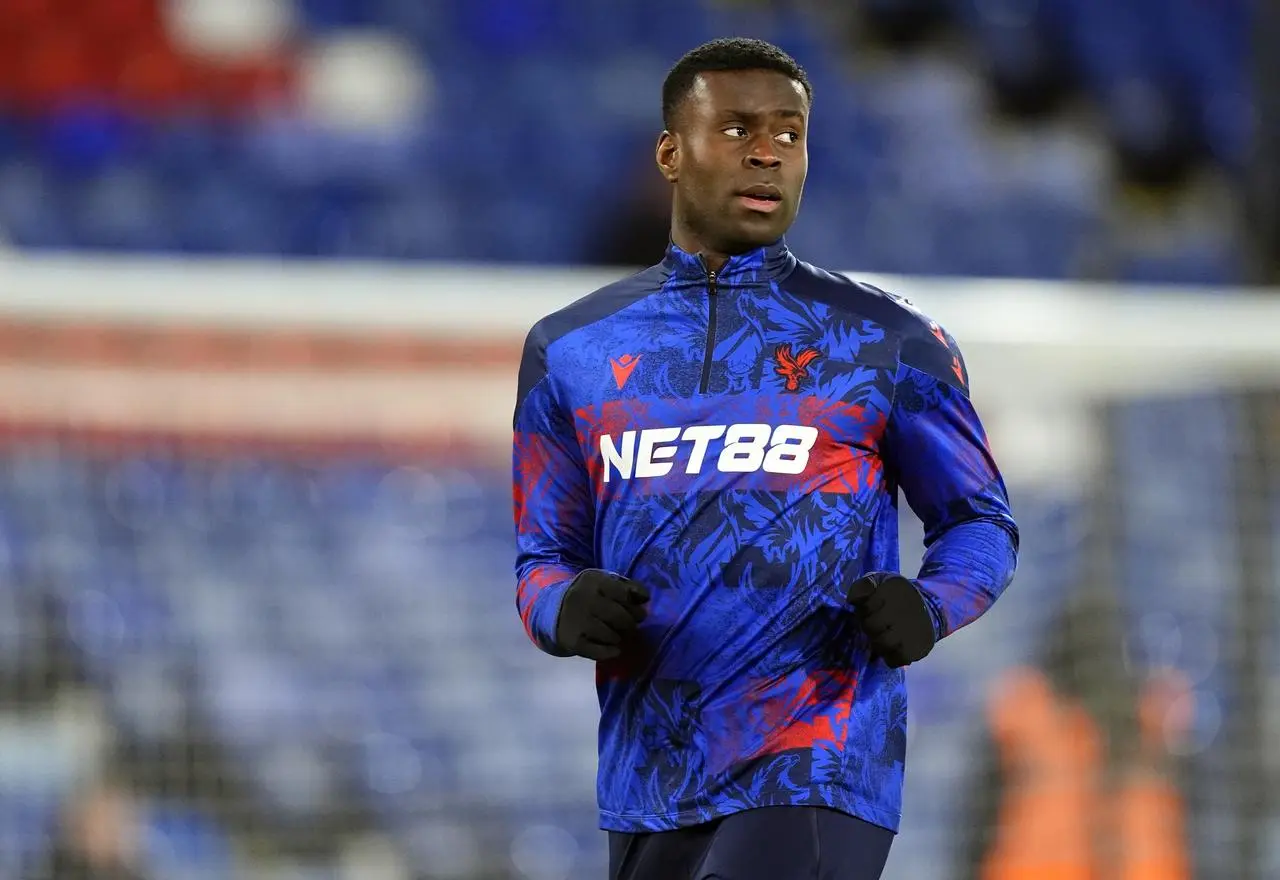 Crystal Palace v Aston Villa – Premier League – Selhurst Park