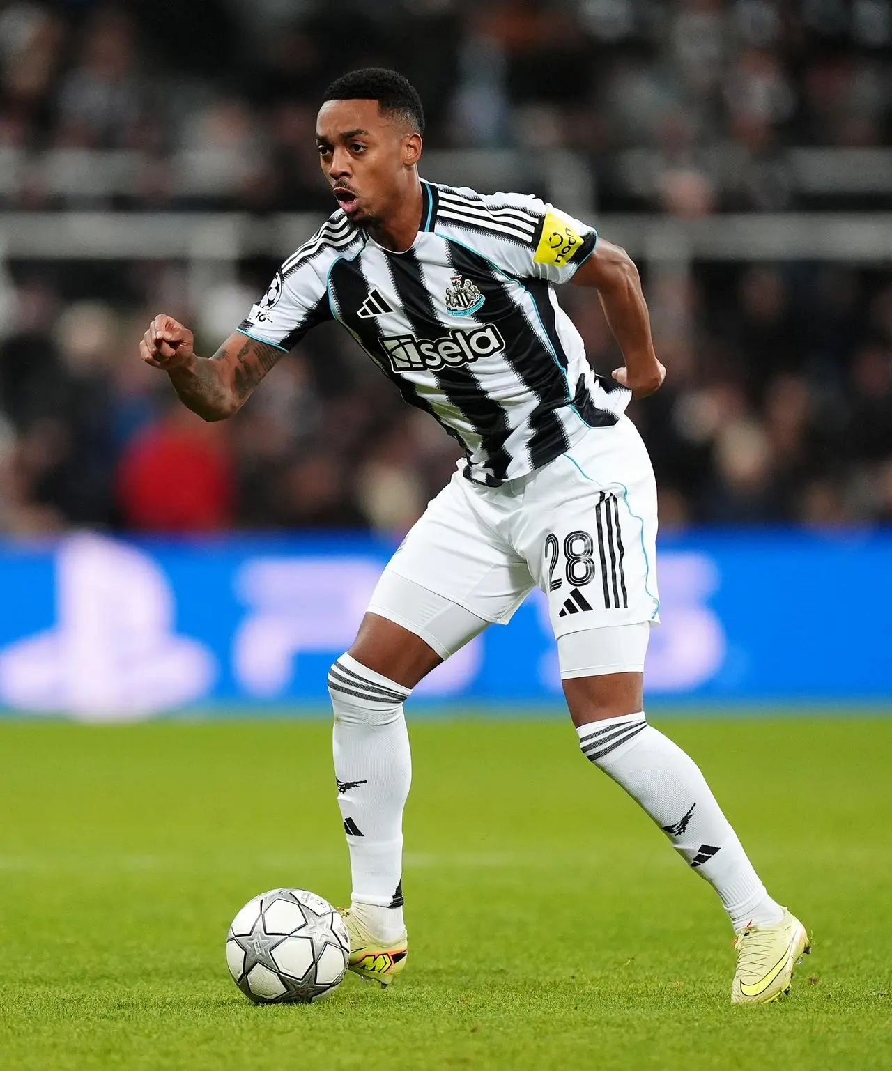 Newcastle's Joe Willock during a Champions League match against PSV Eindhoven