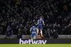 Brighton defender Adam Webster celebrates after his towering header levelled the game at 1-1