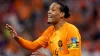 Virgil van Dijk could miss next week’s Carabao Cup tie at Manchester City after his World Cup exploits (Martin Rickett/PA)