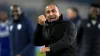 Cardiff City manager Sabri Lamouchi