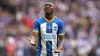 Brighton midfielder Moises Caicedo 