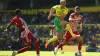 Jack Stacey netted the winner for Norwich against Stoke (George Tewkesbury/PA)