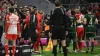 Union Berlin head coach Nenad Bjelica was sent off (Sven Hoppe/AP)