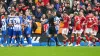 Brighton players celebrate after Andrew Omobamidele’s own goal (Zac Goodwin/PA)