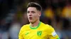 Ante Crnac bagged a brace as Norwich beat Luton (Mike Egerton/PA)