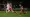 Ethan Hamilton goal earns Accrington a point against Oxford