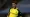 Nuri Sahin named new Borussia Dortmund coach following Edin Terzic exit